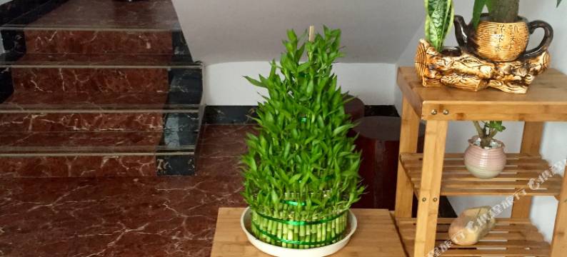 荔波本地人家主题客栈(荔波古镇店)图片