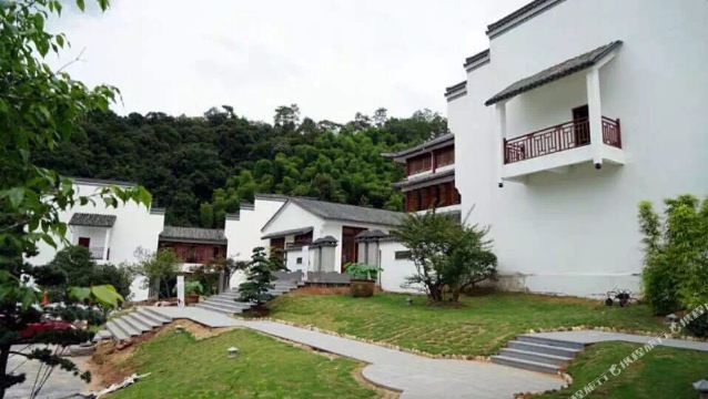 武夷山茶言精舍