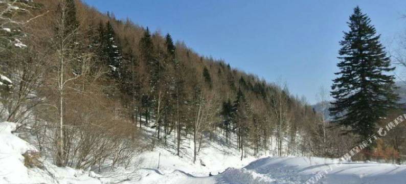 雪谷欣欣驿站图片