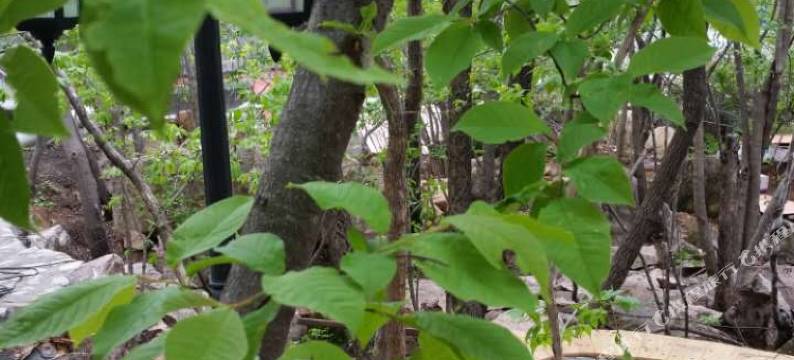 本溪县御电宾馆图片