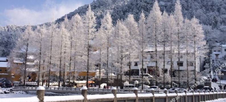 九华山玉宝山庄图片