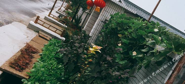 盘锦允杰农家院图片