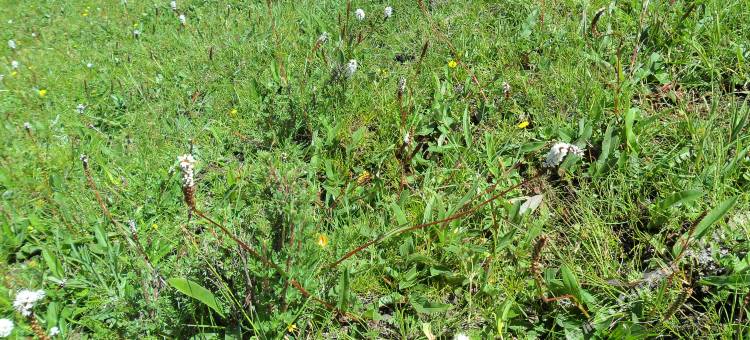 祁连家庭青年旅馆图片