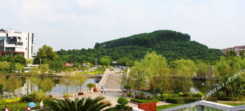 东莞皓天精品酒店图片