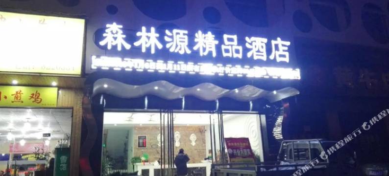 自贡森林源精品酒店图片