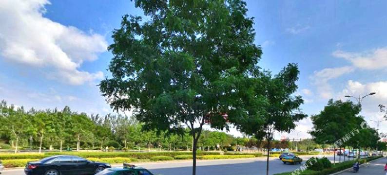 银川东湖国际酒店图片