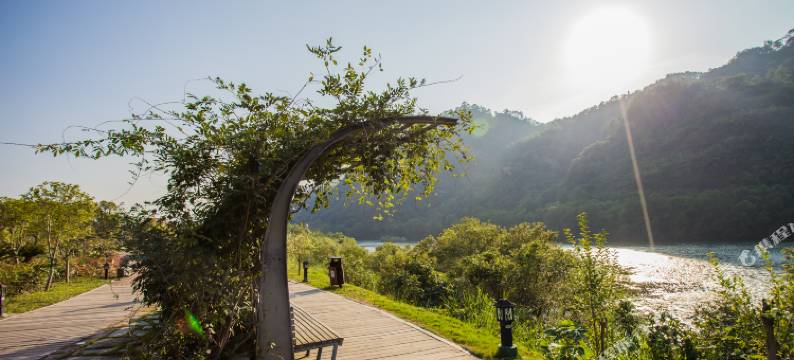 武夷山九曲茶舍客栈图片