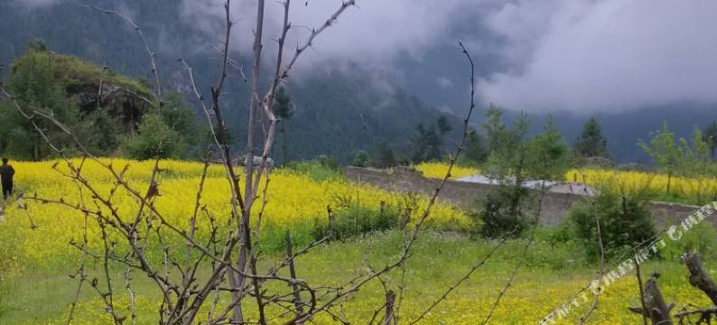 吉隆登巴客栈图片