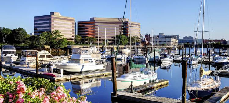 阿姆斯特丹酒店(Amsterdam Hotel)图片