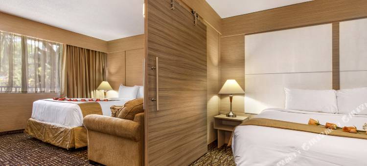 海滩宫殿套房酒店(Ocean Beach Palace)图片