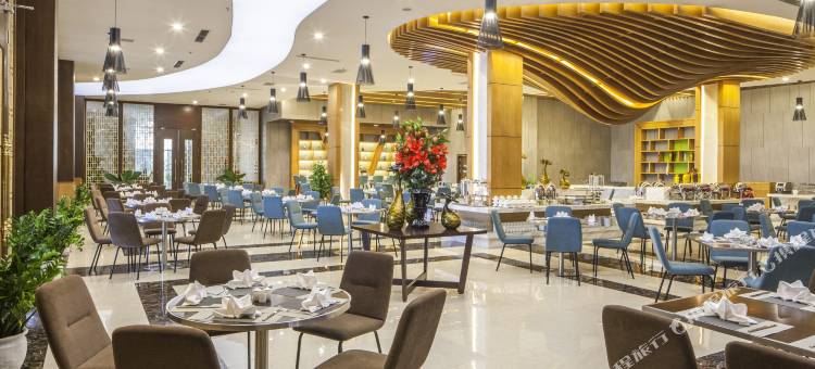 蒙泰豪华纳乐酒店(Muong Thanh Luxury Nhat Le Hotel)图片