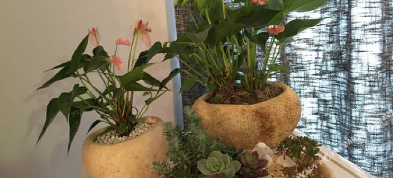 美嘉城市客栈(武汉武广店)图片