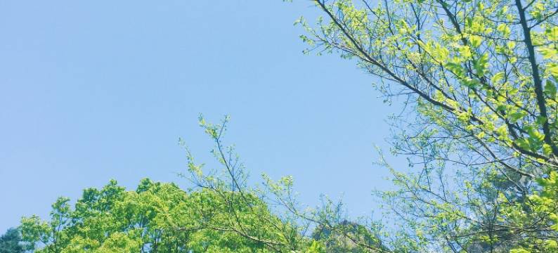 雁荡山幽然现民宿图片