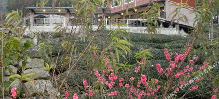 嘉义樟树湖茶叶民宿图片