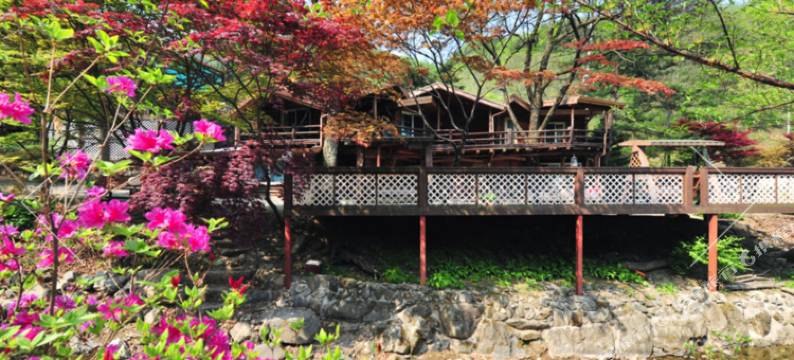 加平贝利塔溪谷旅馆(Gapyeong Belita Pension)图片