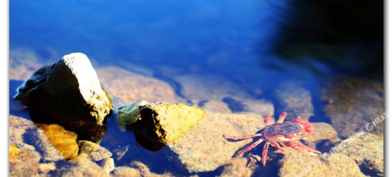 莫干山清林·闲庭山庄图片