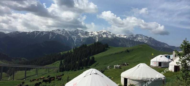 赛里木湖果子沟度假村图片