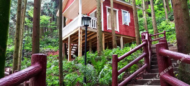 雅安万森康养庄园图片