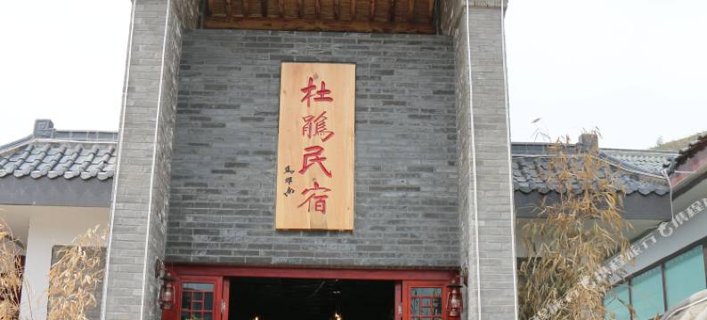 平凉杜鹃民宿图片