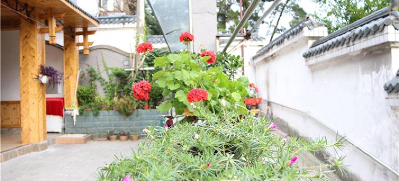 张家界青山客栈图片