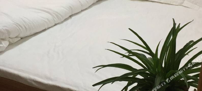 小普陀湖沁舍客栈图片
