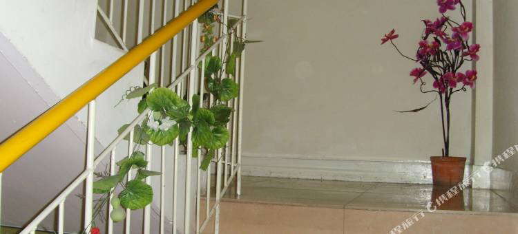 大连德和客舍图片