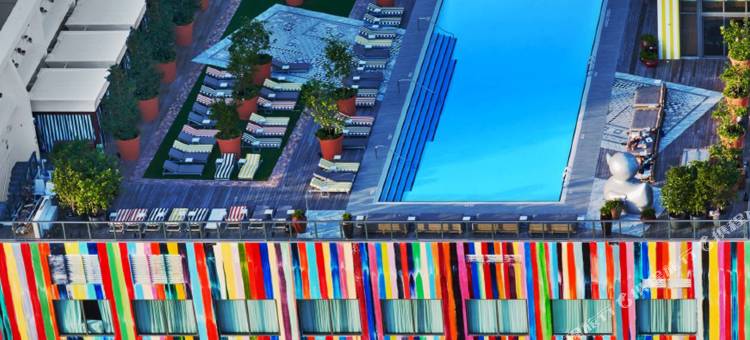 迈阿密杜瓦, 傲途格精选(DUA Miami, Autograph Collection)图片