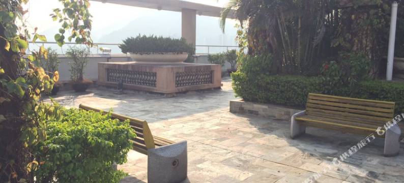 深圳七间理想屋普通公寓(东滨路分店)图片