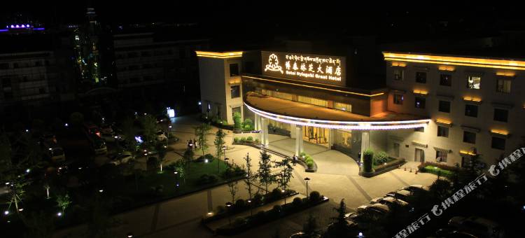 博泰林芝大酒店图片