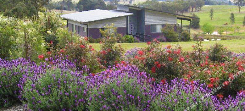 贝尔塔纳别墅(Beltana Villas)图片