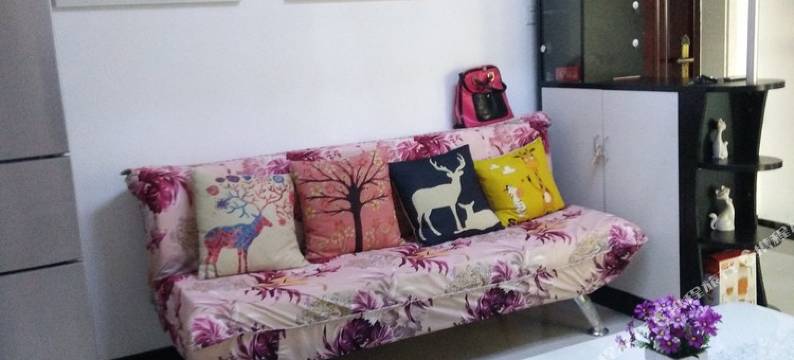 西安敏敏的温馨雅居普通公寓图片