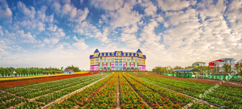 广州花之恋城堡酒店图片