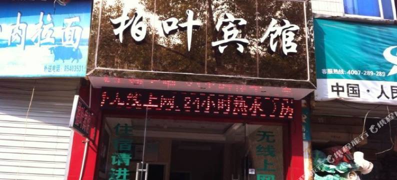 临海柏叶宾馆图片