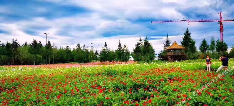 长白山9加1宾馆图片