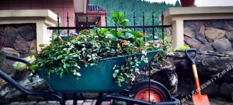 千岛湖蓝马驿站图片