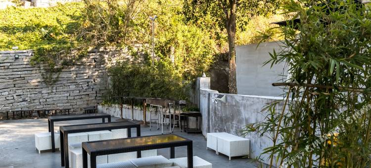 深圳一棵花树正好开民宿图片