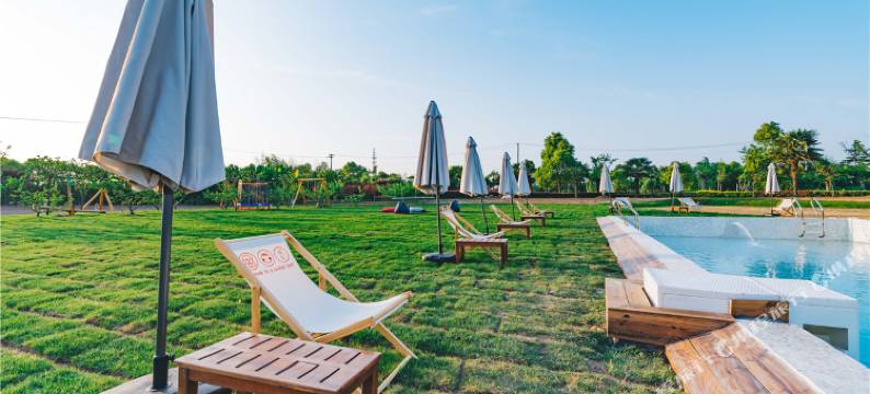 启东呆住·番茄俱乐部图片