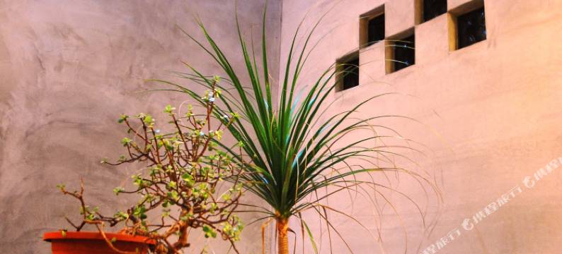 南投岛中央旅人聚场图片