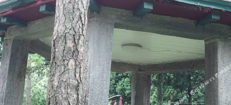 庐山牯岭故事客栈图片