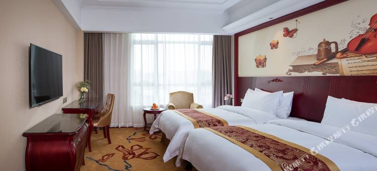 维也纳国际酒店(佛山大沥中心店)图片