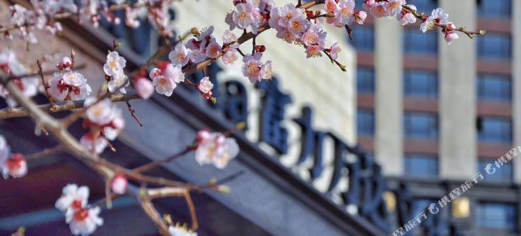 沈阳富力万达文华酒店图片