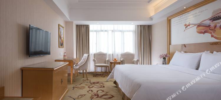 维也纳酒店(祁东新区店)图片