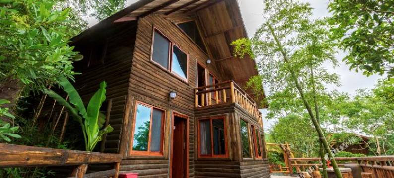 岱山龙舌兰山庄图片