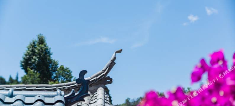 燕喜小院民宿(北门店)图片