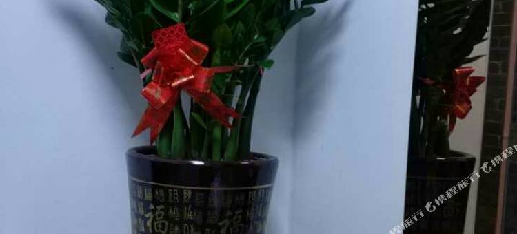 舒雅客房(广州北亭店)图片