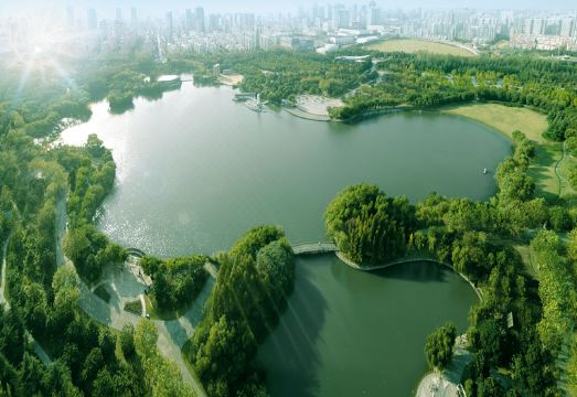 China Grain Hotel ShanghaiHotel Overview