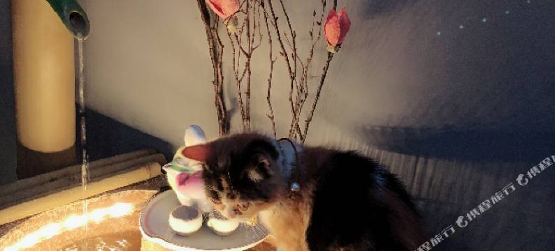 长岛说时依旧民宿图片