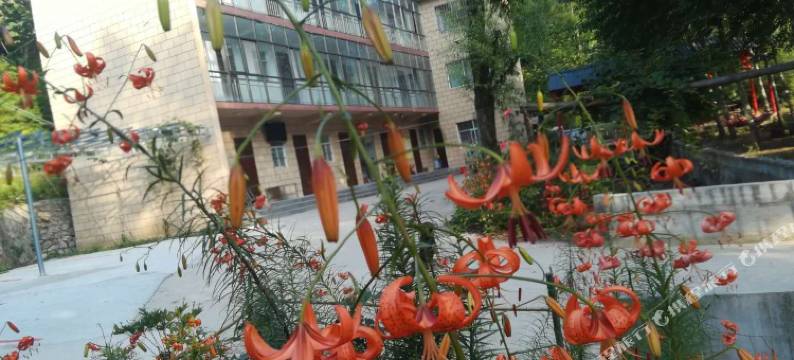 白云山金水湾农家乐图片