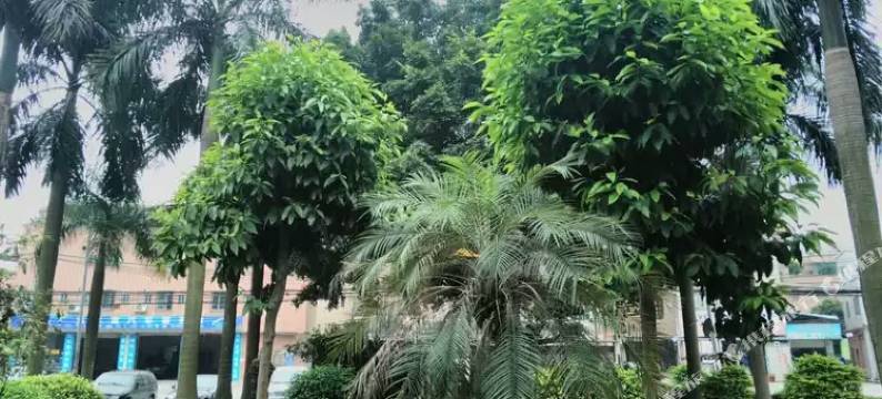 广州星涯快捷公寓图片