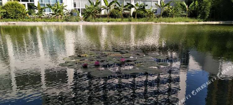 遵化国际饭店图片